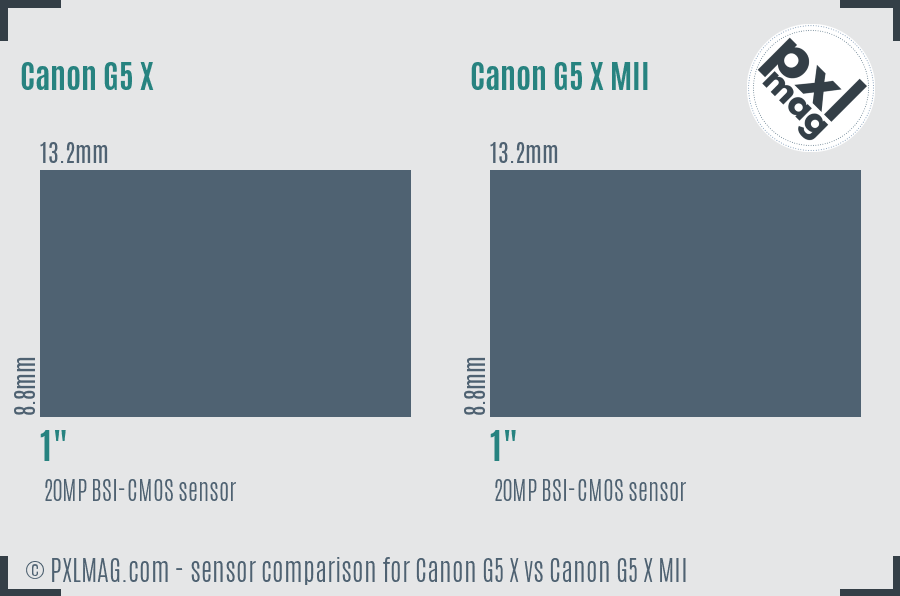 Canon G5 X vs Canon G5 X MII sensor size comparison