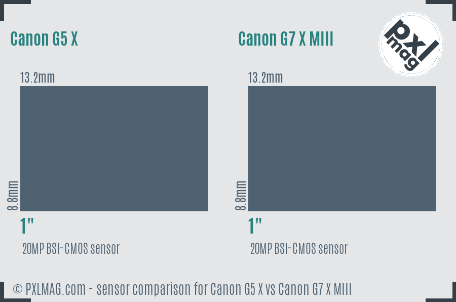 Canon G5 X vs Canon G7 X MIII sensor size comparison