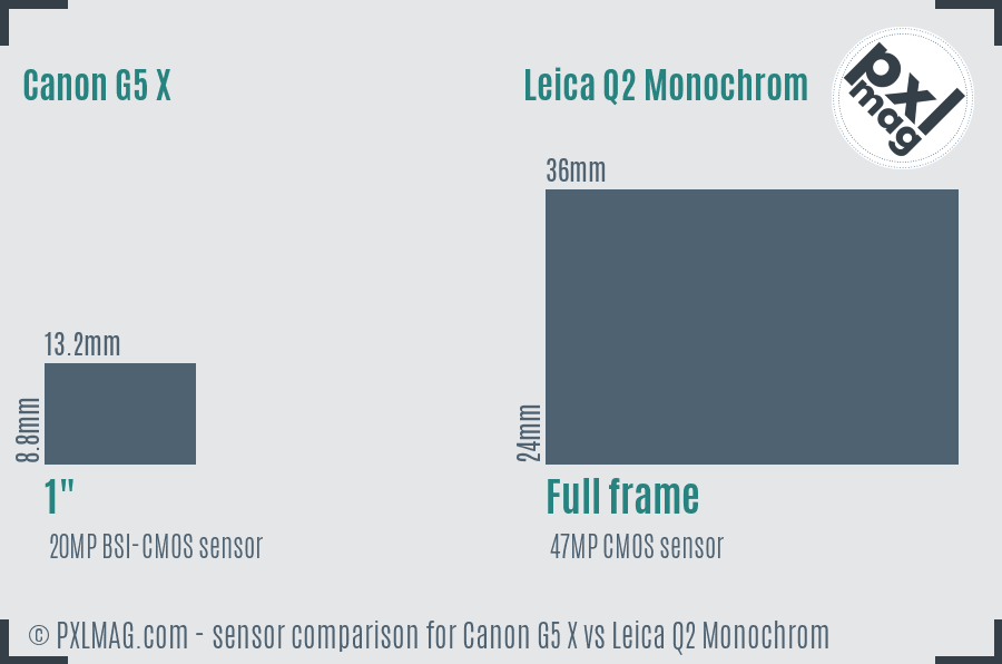 Canon G5 X vs Leica Q2 Monochrom sensor size comparison
