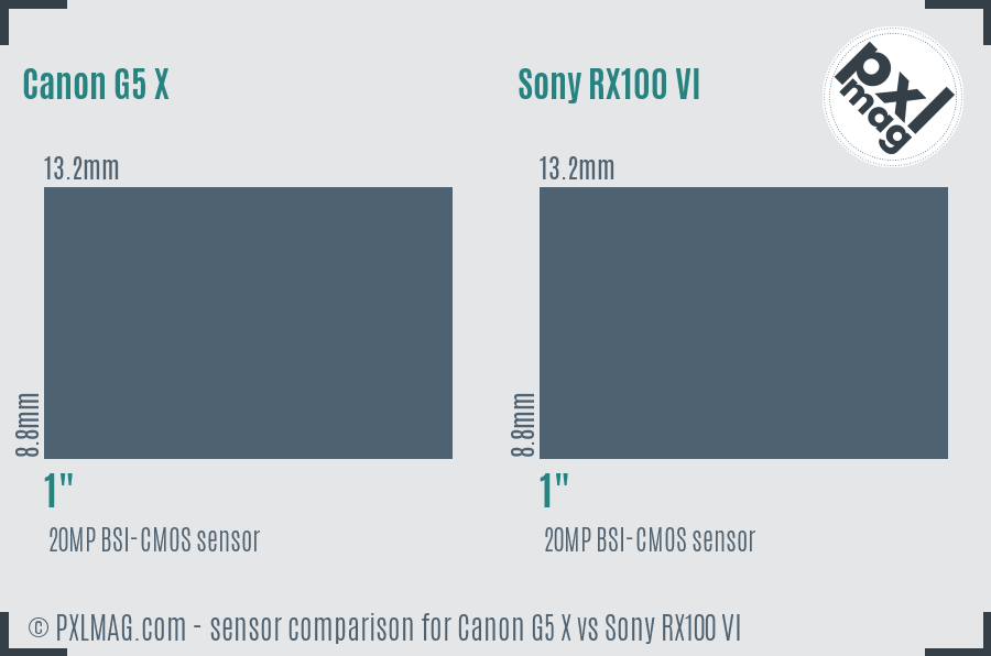 Canon G5 X vs Sony RX100 VI sensor size comparison