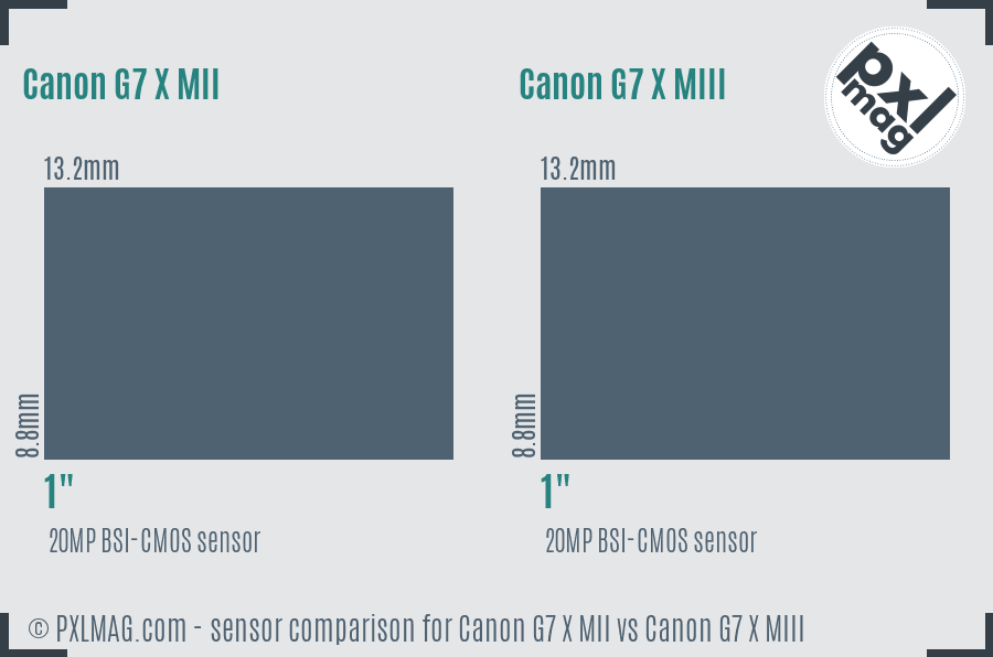 Canon G7 X MII vs Canon G7 X MIII sensor size comparison