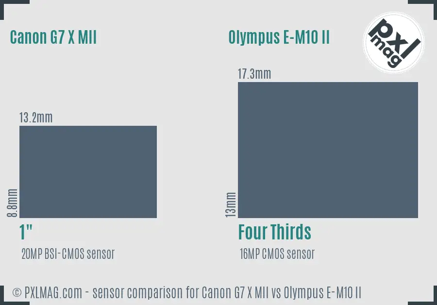 Canon G7 X MII vs Olympus E-M10 II sensor size comparison Canon G7 X MII vs Olympus E-M10 II sensor size comparison