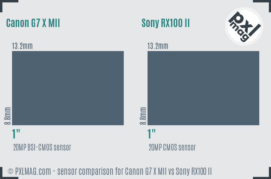 Canon G7 X MII vs Sony RX100 II sensor size comparison