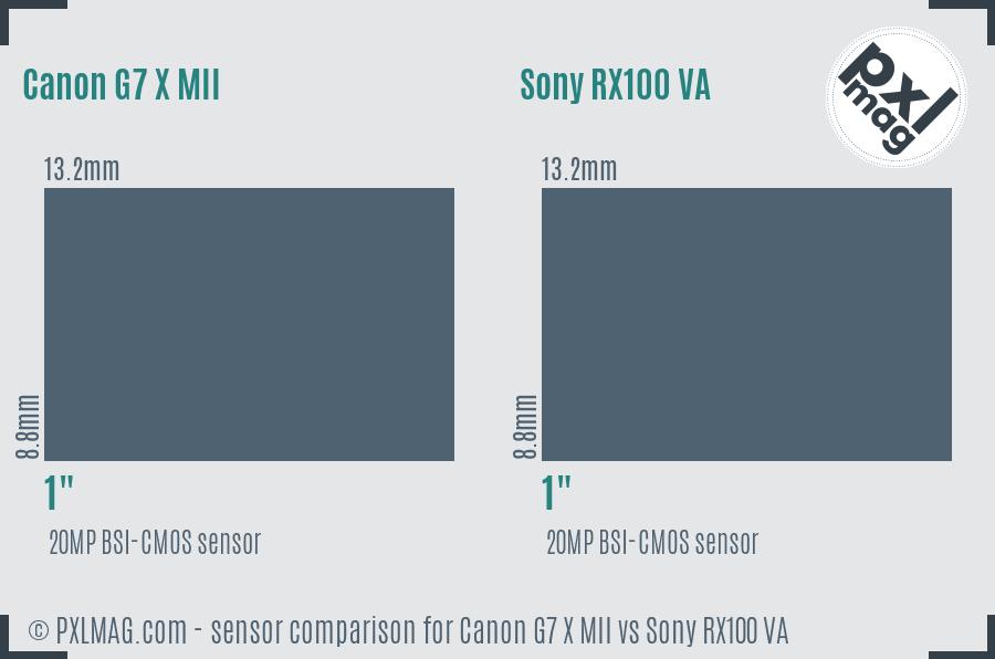 Canon G7 X MII vs Sony RX100 VA sensor size comparison