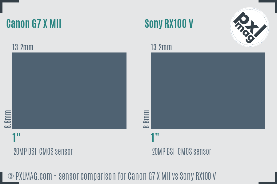 Canon G7 X MII vs Sony RX100 V sensor size comparison