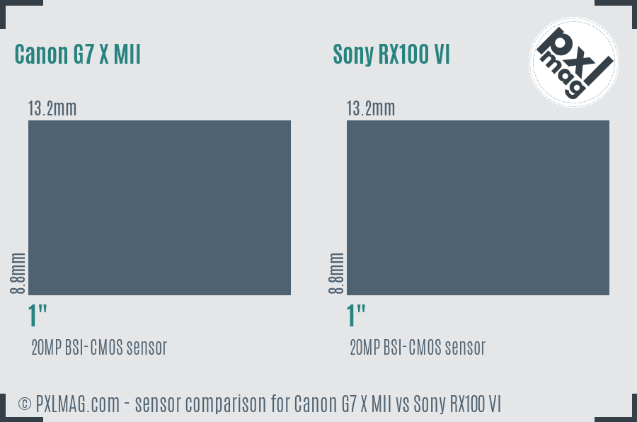 Canon G7 X MII vs Sony RX100 VI sensor size comparison