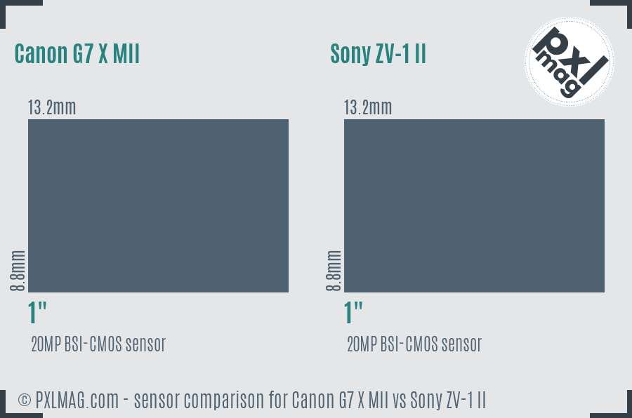 Canon G7 X MII vs Sony ZV-1 II sensor size comparison