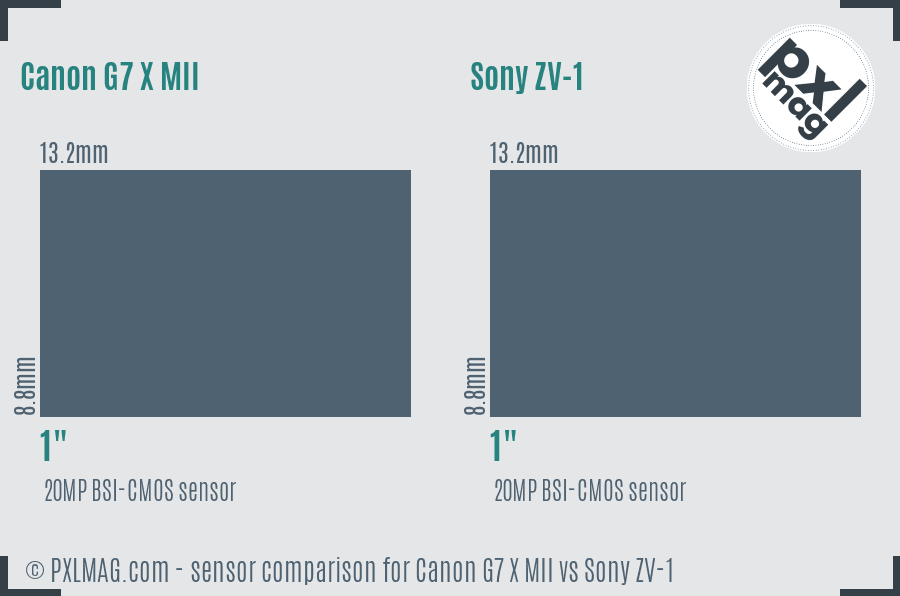 Canon G7 X MII vs Sony ZV-1 sensor size comparison