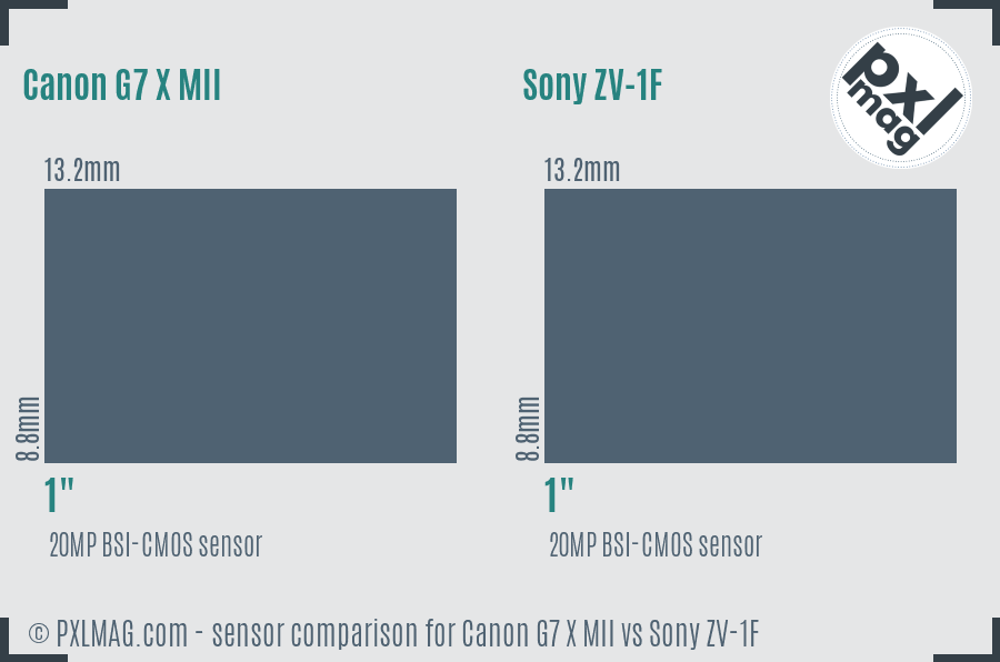 Canon G7 X MII vs Sony ZV-1F sensor size comparison
