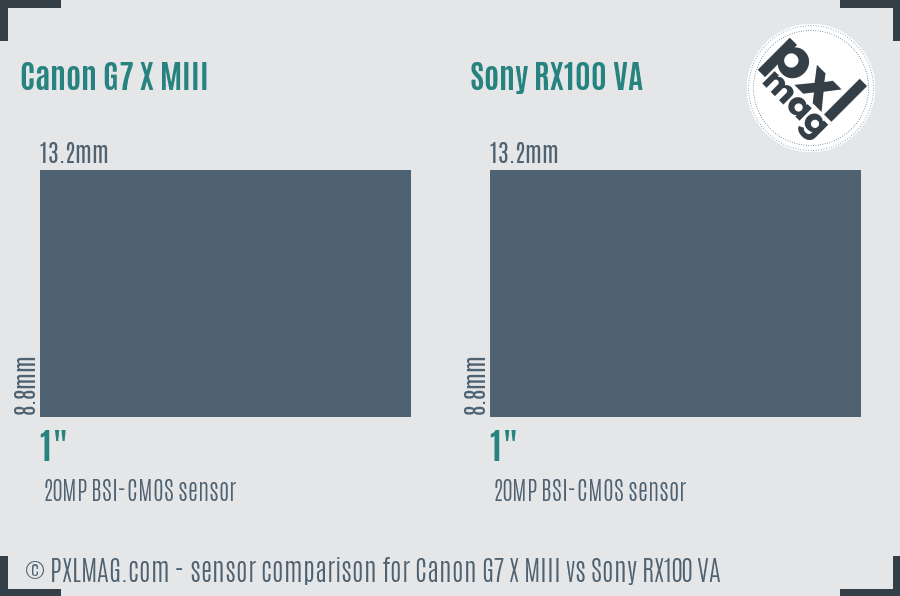 Canon G7 X MIII vs Sony RX100 VA sensor size comparison