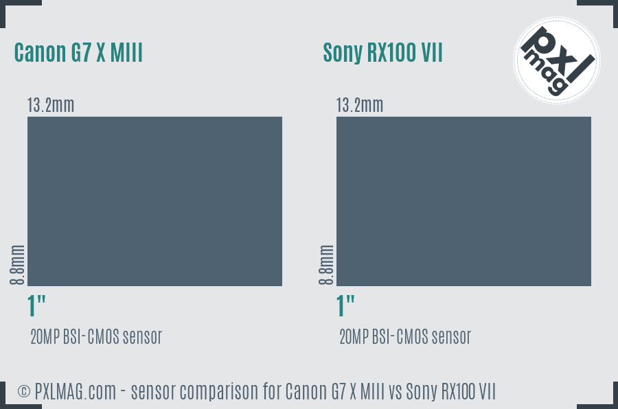 Canon G7 X MIII vs Sony RX100 VII sensor size comparison