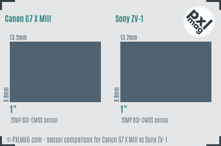 Canon G7 X MIII vs Sony ZV-1 sensor size comparison