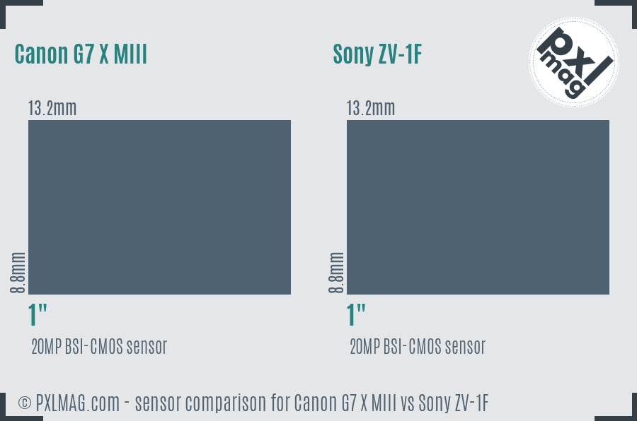 Canon G7 X MIII vs Sony ZV-1F sensor size comparison