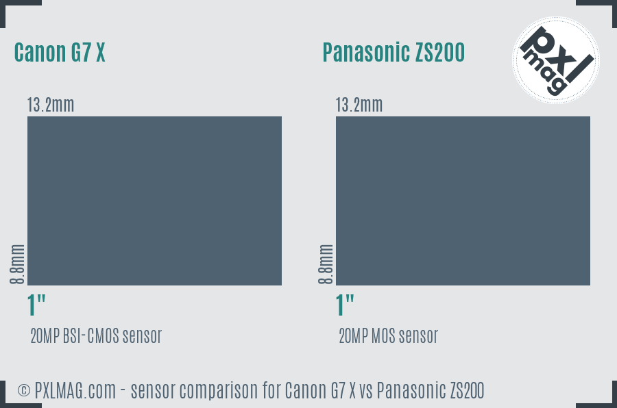 Canon G7 X vs Panasonic ZS200 sensor size comparison