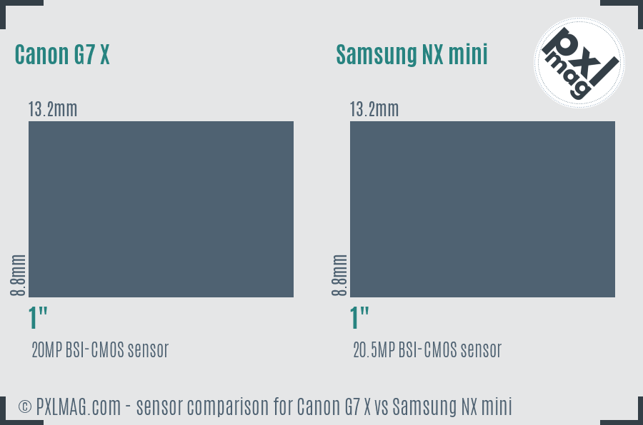 Canon G7 X vs Samsung NX mini sensor size comparison Canon G7 X vs Samsung NX mini sensor size comparison
