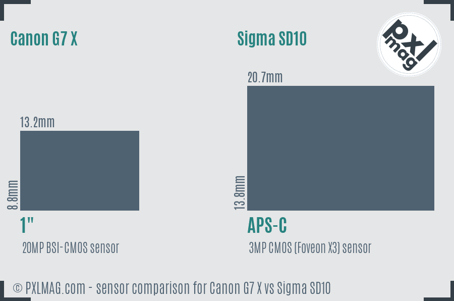 Canon G7 X vs Sigma SD10 sensor size comparison Canon G7 X vs Sigma SD10 sensor size comparison