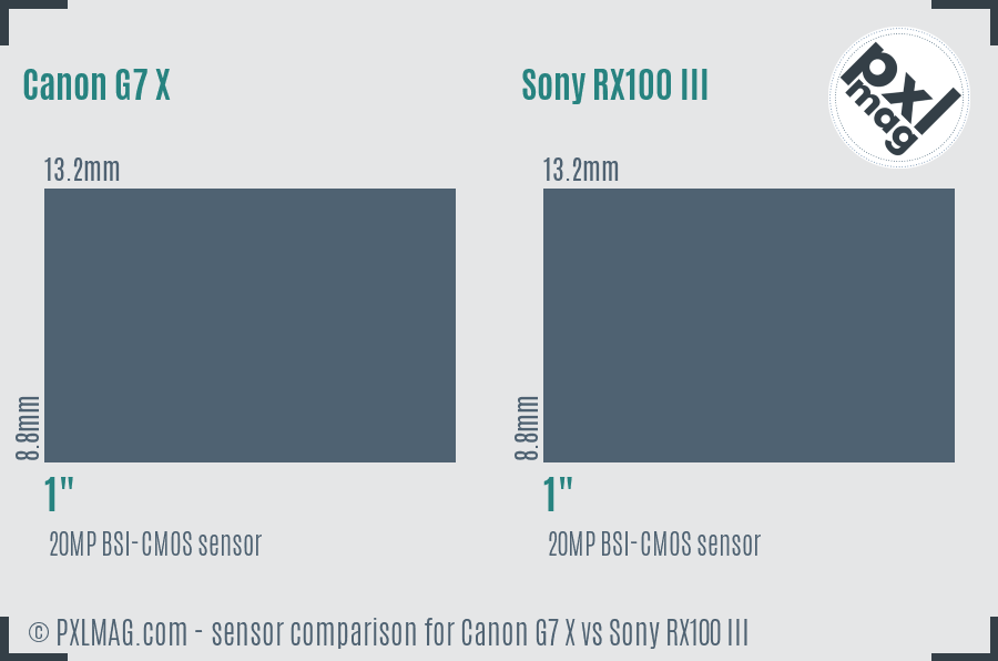 Canon G7 X vs Sony RX100 III sensor size comparison