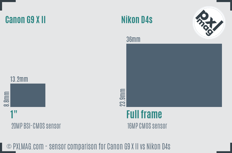 Canon G9 X II vs Nikon D4s sensor size comparison