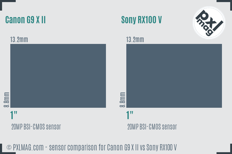 Canon G9 X II vs Sony RX100 V sensor size comparison