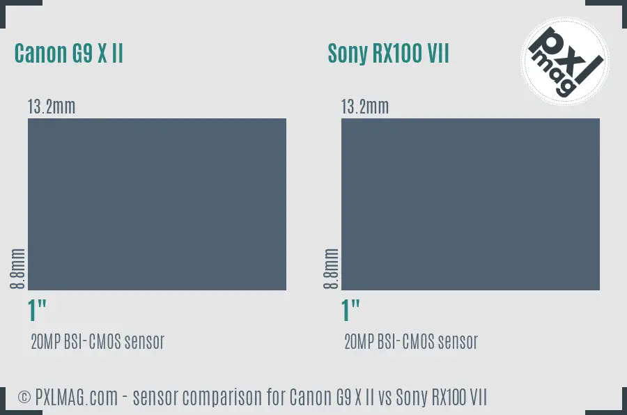 Canon G9 X II vs Sony RX100 VII sensor size comparison
