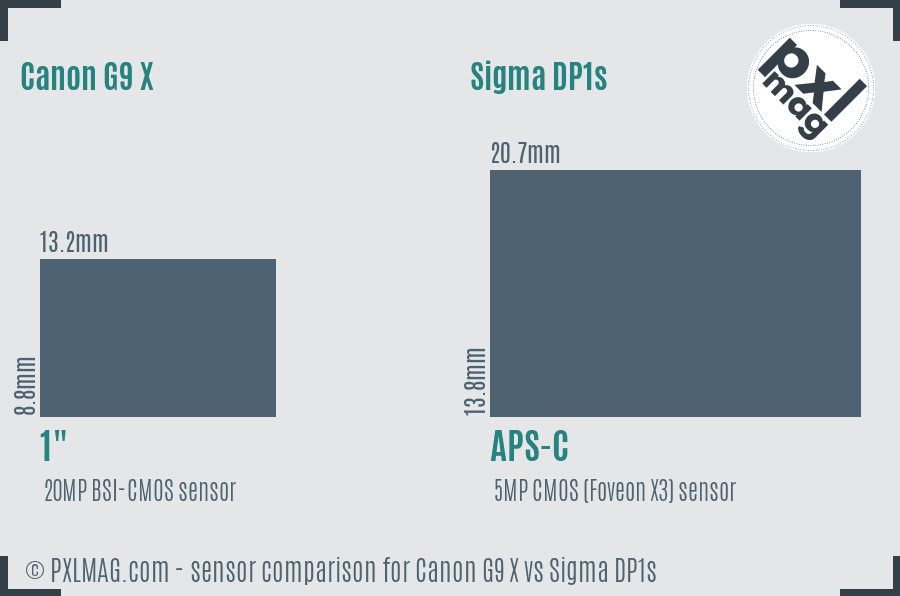 Canon G9 X vs Sigma DP1s sensor size comparison