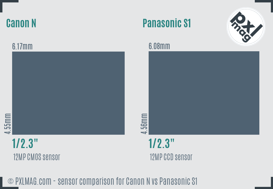 Canon N vs Panasonic S1 sensor size comparison