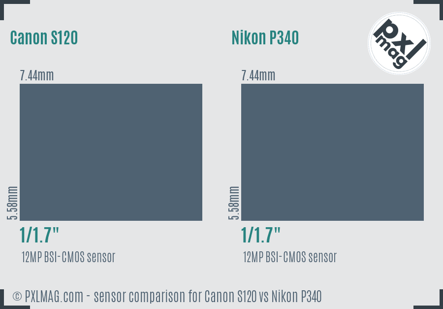 Canon S120 vs Nikon P340 sensor size comparison