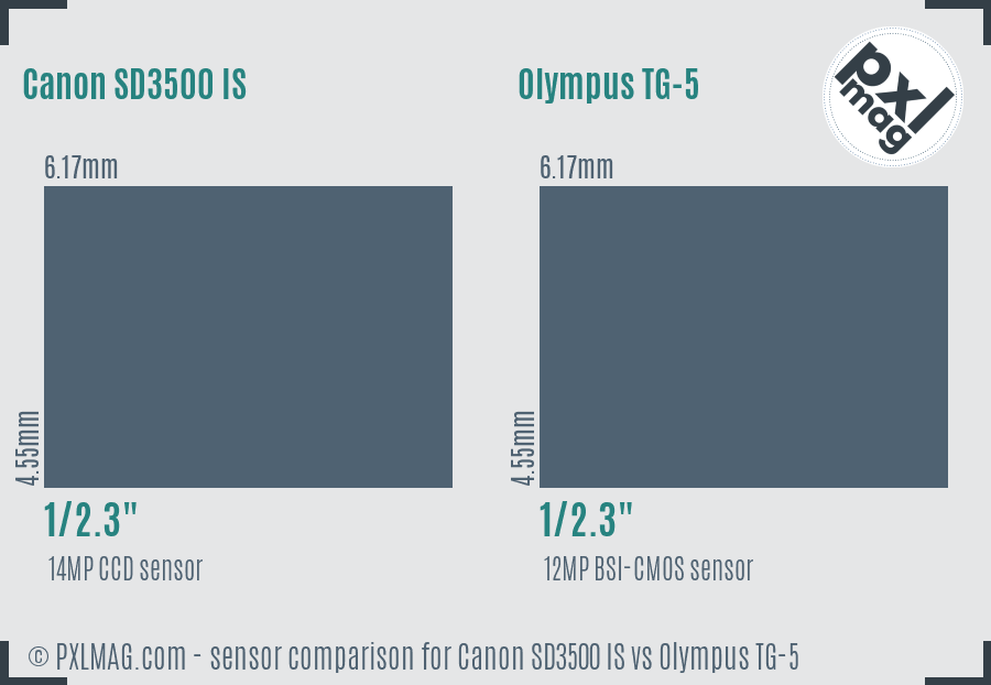 Canon SD3500 IS vs Olympus TG-5 sensor size comparison