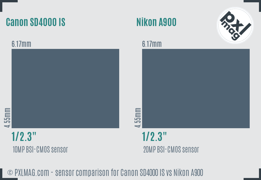 Canon SD4000 IS vs Nikon A900 sensor size comparison