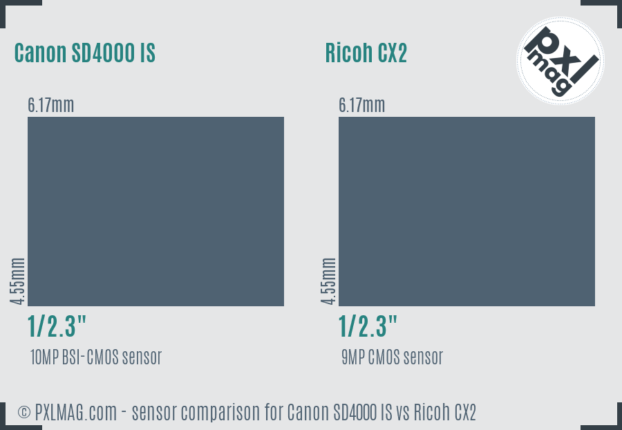 Canon SD4000 IS vs Ricoh CX2 sensor size comparison
