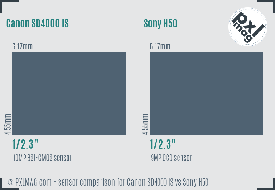 Canon SD4000 IS vs Sony H50 sensor size comparison