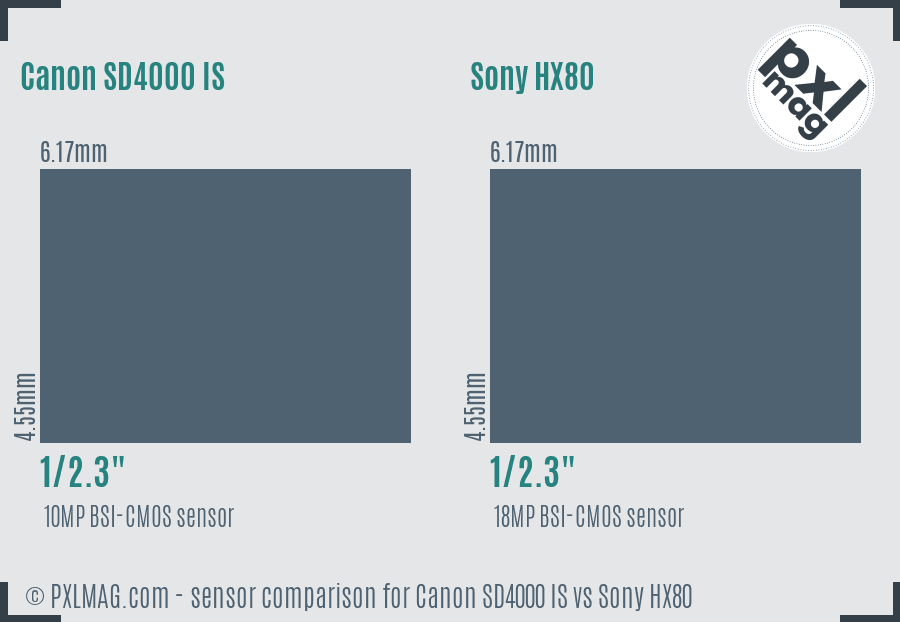 Canon SD4000 IS vs Sony HX80 sensor size comparison