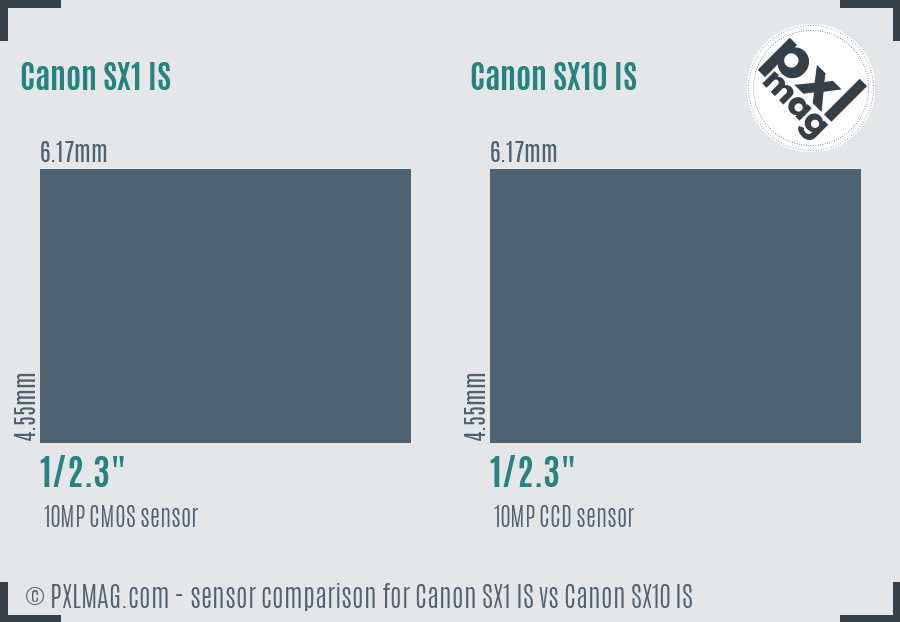 Canon SX1 IS vs Canon SX10 IS sensor size comparison
