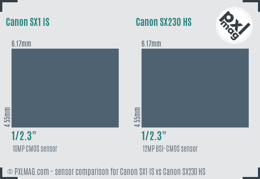 Canon SX1 IS vs Canon SX230 HS sensor size comparison