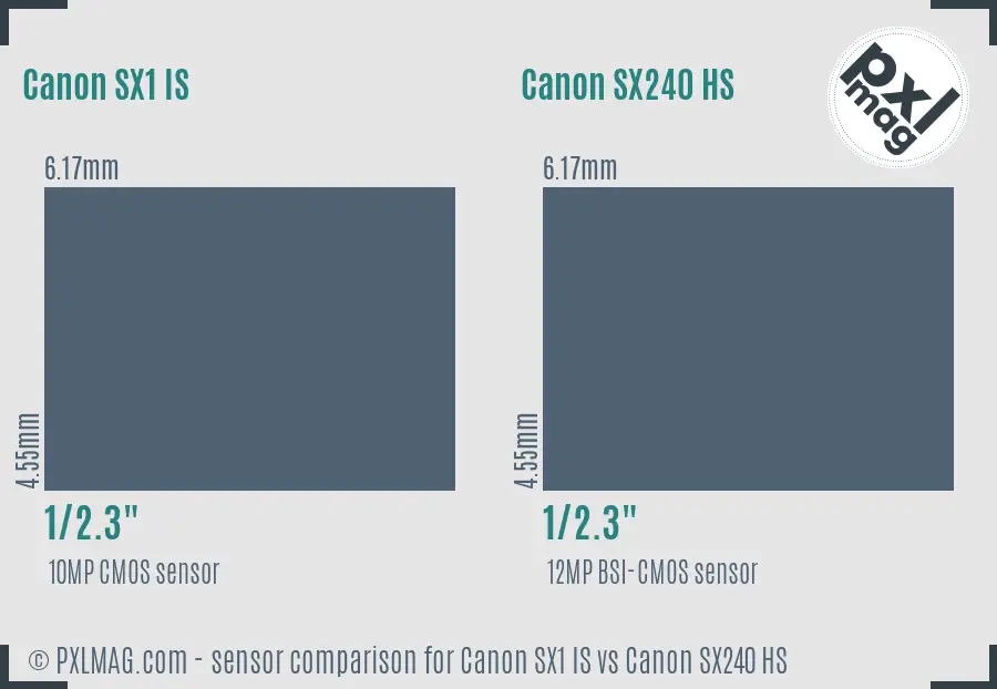 Canon SX1 IS vs Canon SX240 HS sensor size comparison