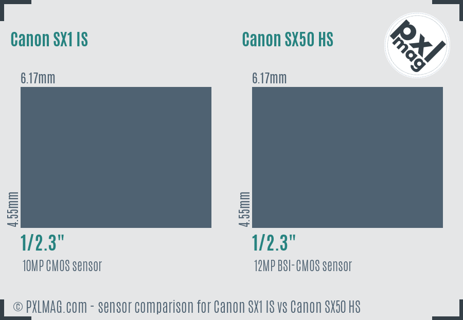 Canon SX1 IS vs Canon SX50 HS sensor size comparison