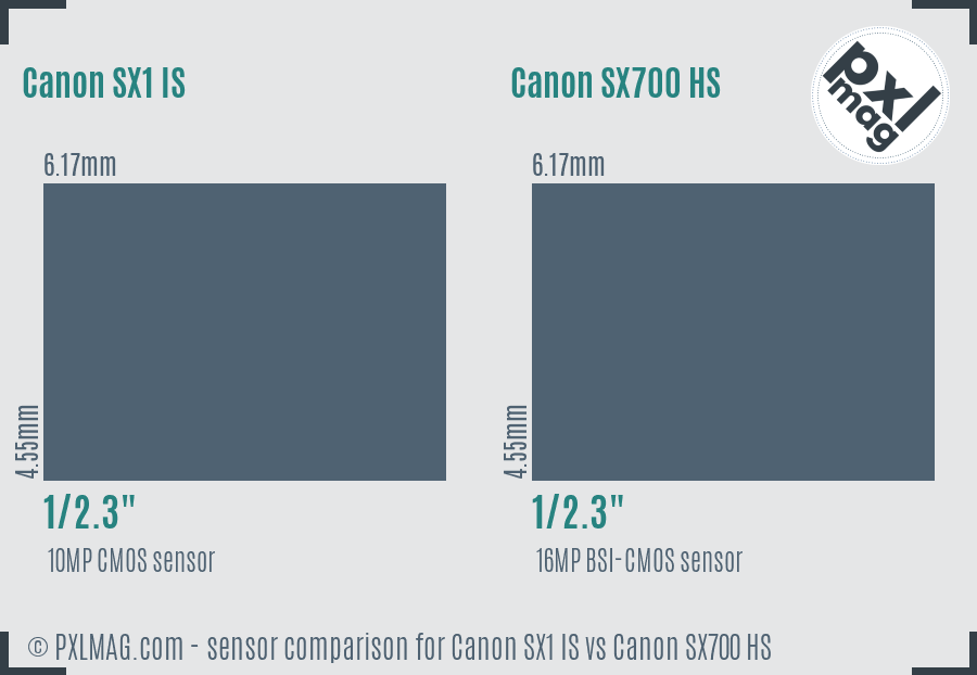 Canon SX1 IS vs Canon SX700 HS sensor size comparison