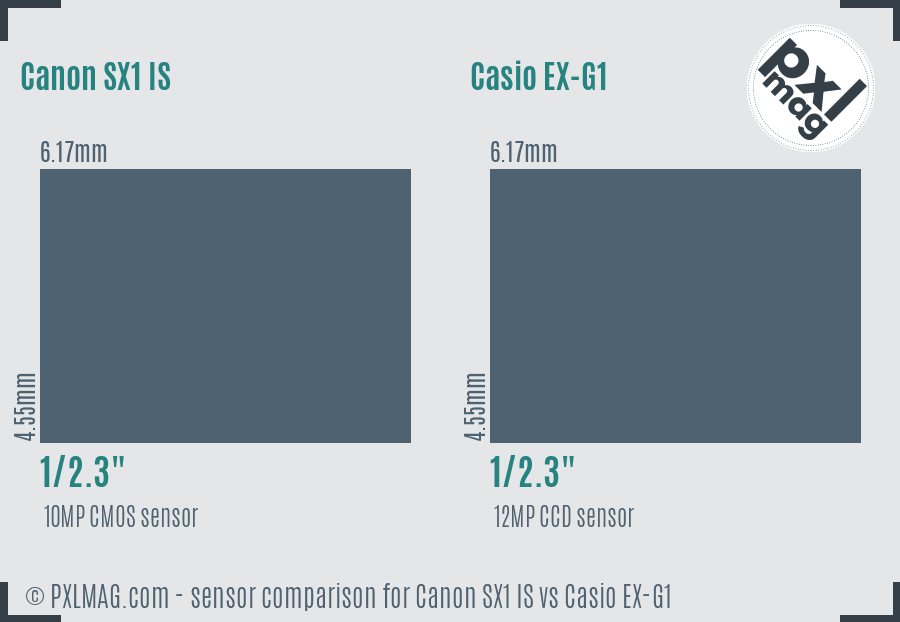 Canon SX1 IS vs Casio EX-G1 sensor size comparison