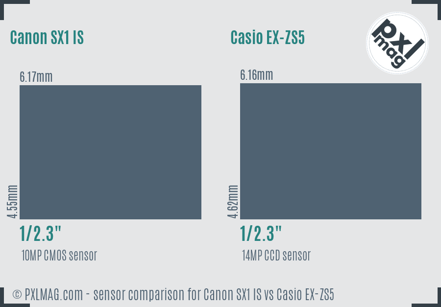 Canon SX1 IS vs Casio EX-ZS5 sensor size comparison