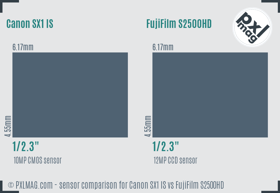 Canon SX1 IS vs FujiFilm S2500HD sensor size comparison