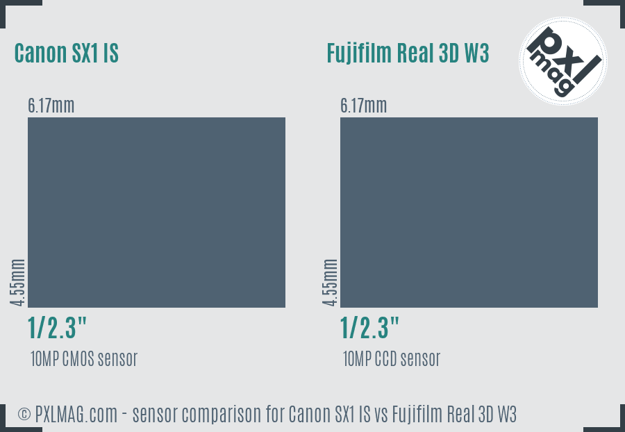 Canon SX1 IS vs Fujifilm Real 3D W3 sensor size comparison