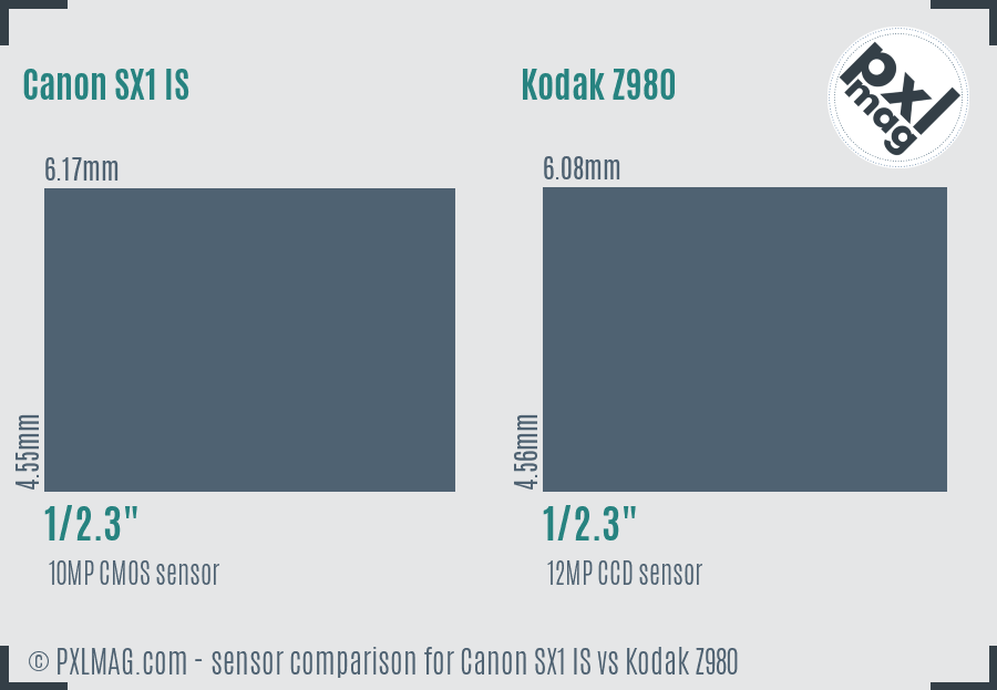Canon SX1 IS vs Kodak Z980 sensor size comparison