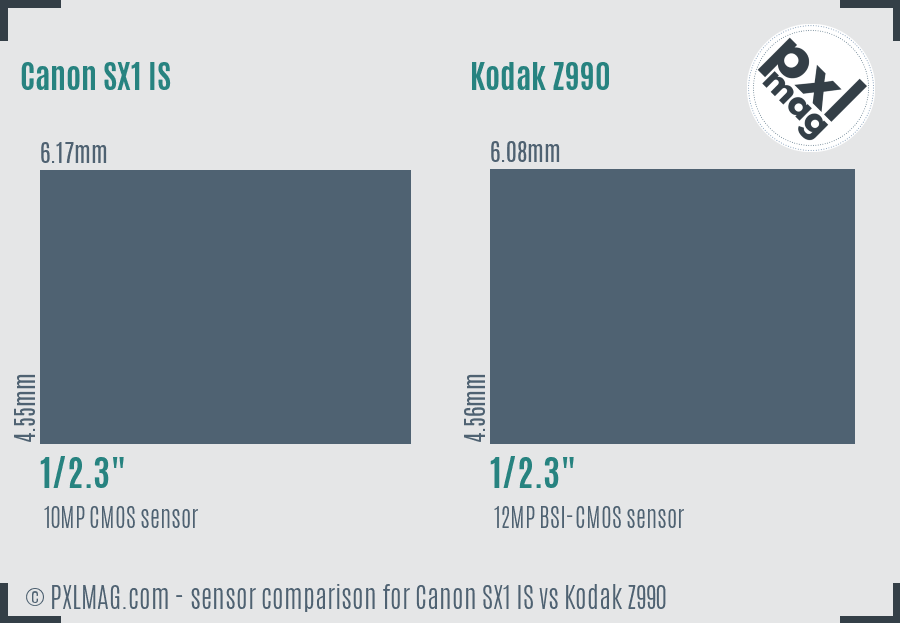 Canon SX1 IS vs Kodak Z990 sensor size comparison