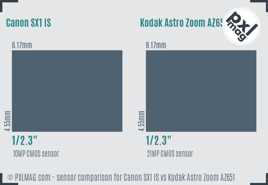 Canon SX1 IS vs Kodak Astro Zoom AZ651 sensor size comparison