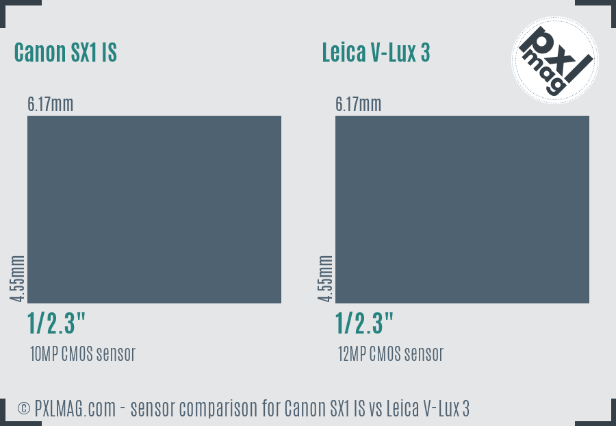 Canon SX1 IS vs Leica V-Lux 3 sensor size comparison