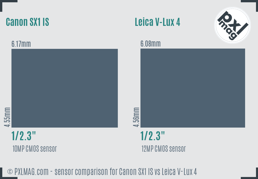 Canon SX1 IS vs Leica V-Lux 4 sensor size comparison