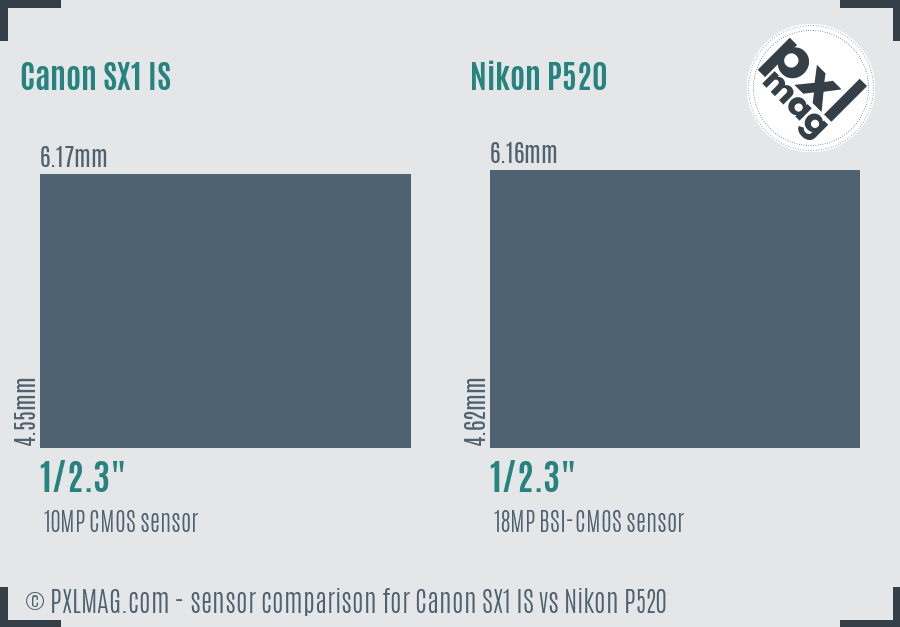 Canon SX1 IS vs Nikon P520 sensor size comparison