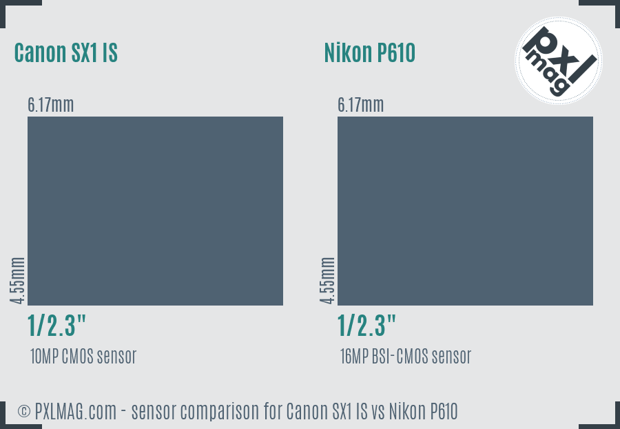 Canon SX1 IS vs Nikon P610 sensor size comparison
