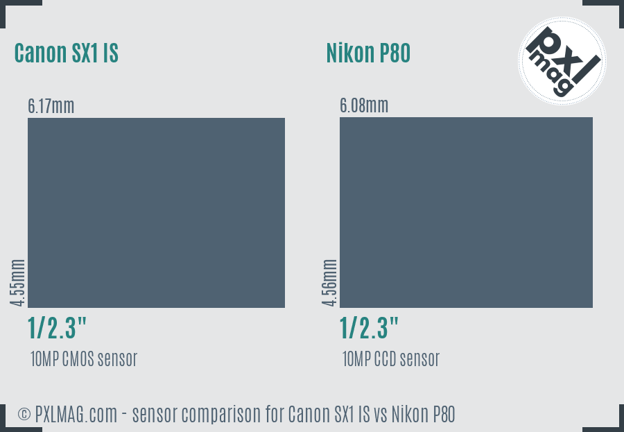 Canon SX1 IS vs Nikon P80 sensor size comparison