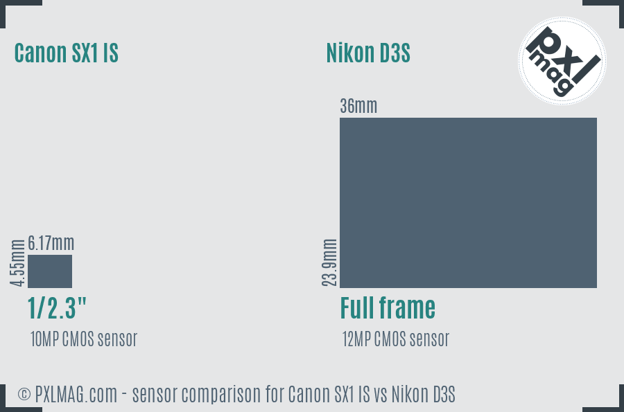 Canon SX1 IS vs Nikon D3S sensor size comparison
